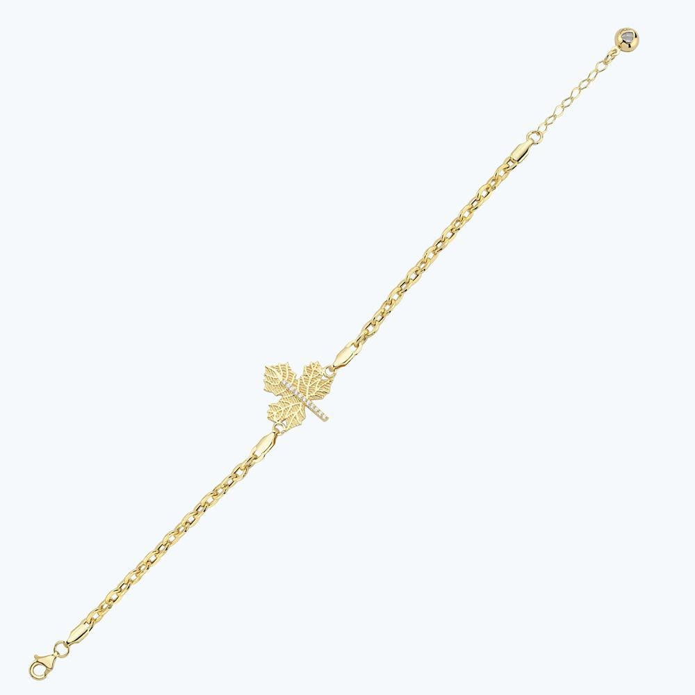 BLAZN3820-2582