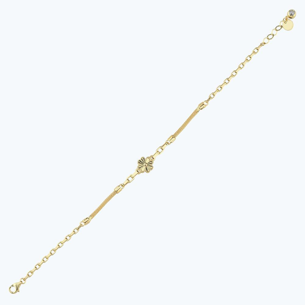 BLGK0531-25295