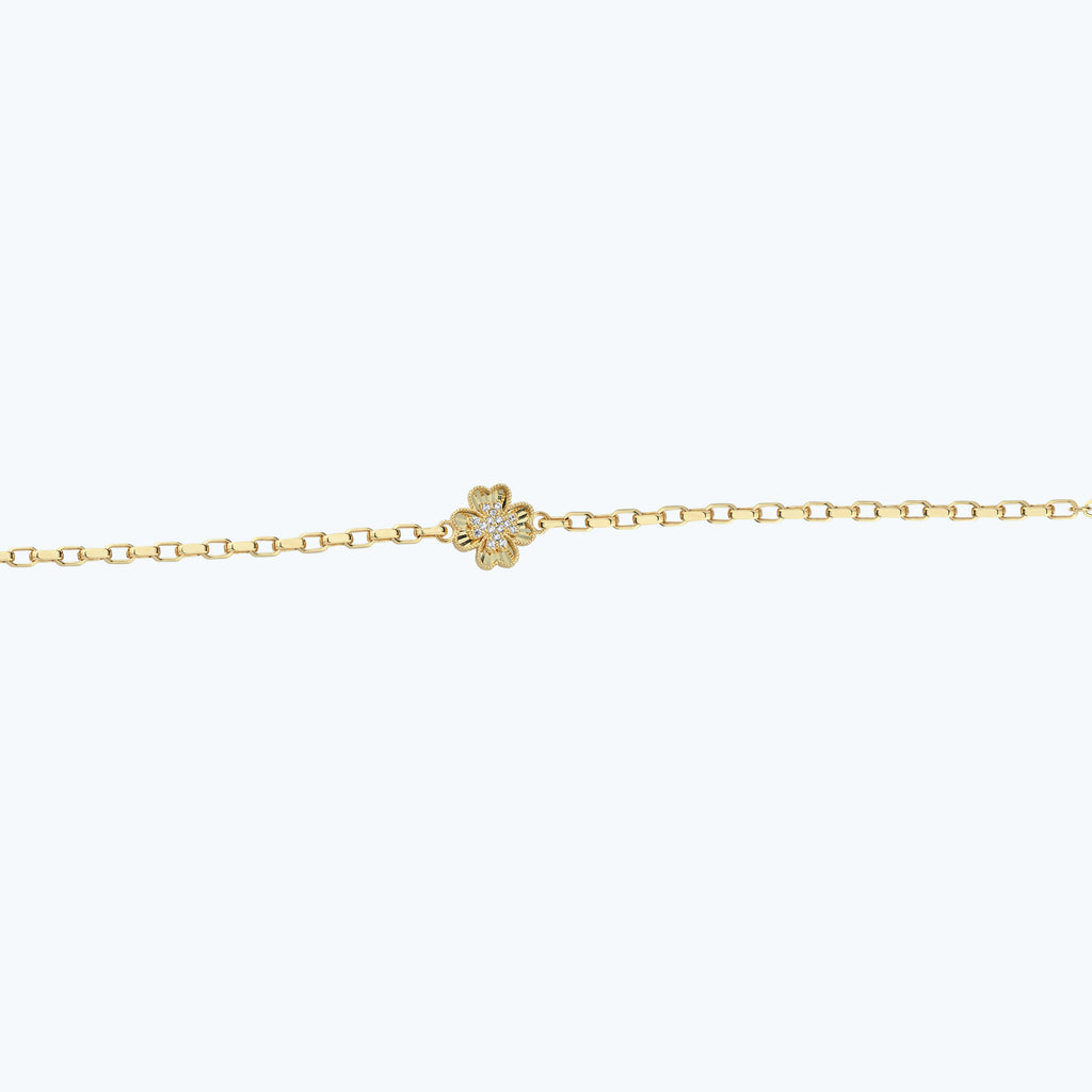 BLGK0538-25295