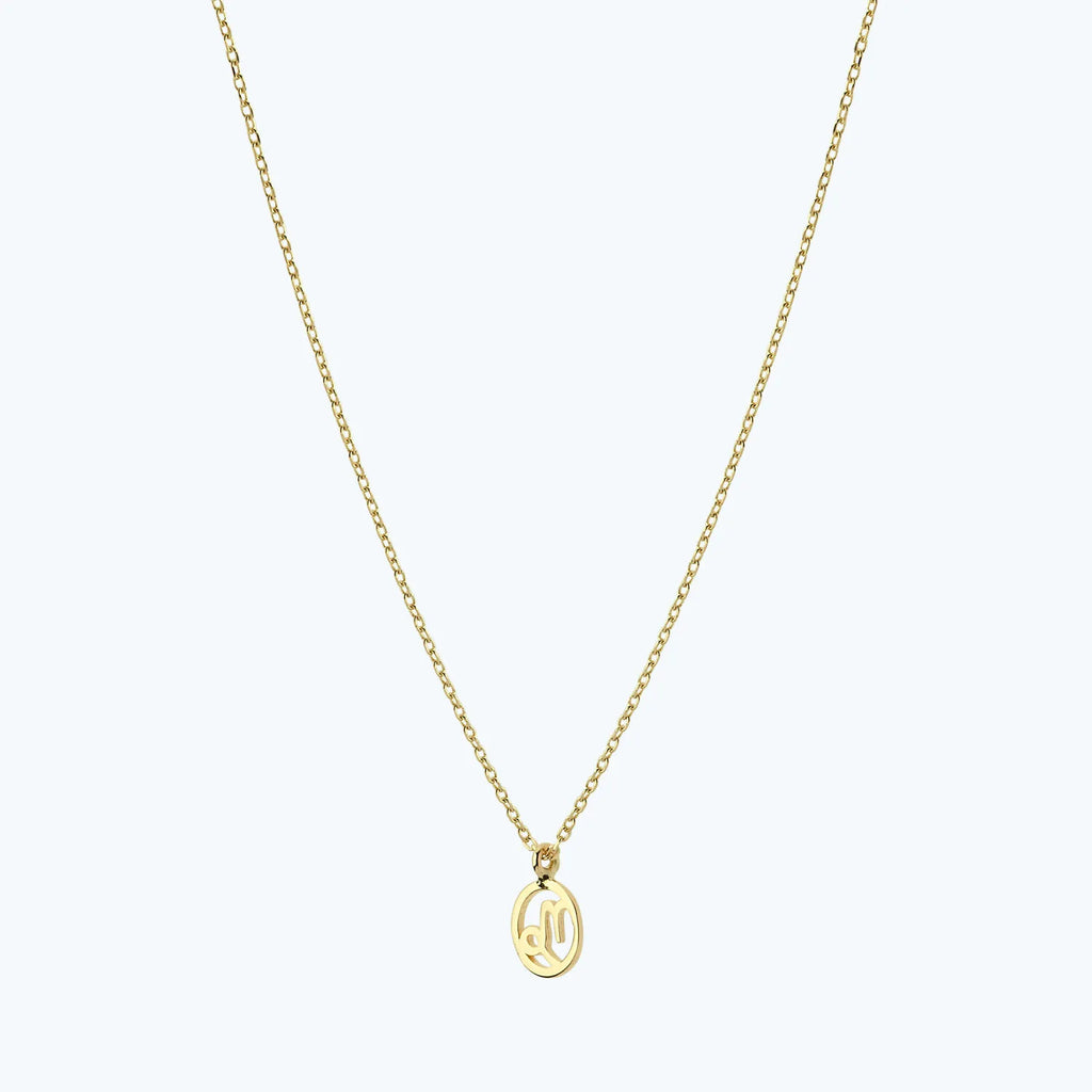 Zodiac Sign Capricorn Gold Necklace