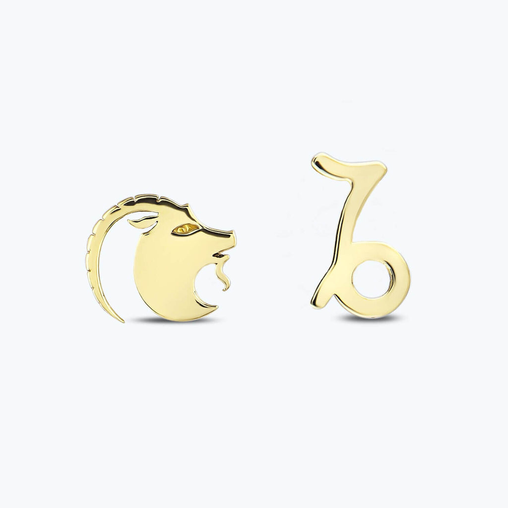 Zodiac Sign Capricorn Gold Earrings